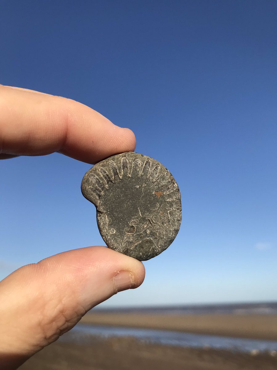 PoetDeanwilson6's tweet photo. Pebble Of The Day #515
#Withernsea https://t.co/vdszT007oB