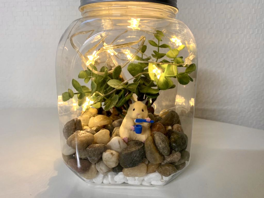 pasha_hamster's tweet image. 100円ショップの材料で作ったテラリウムもどき🌿

（※助六くんを除く）