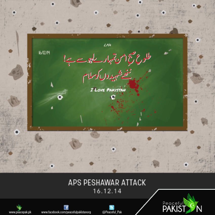 PeacefulPakistan tweet media
