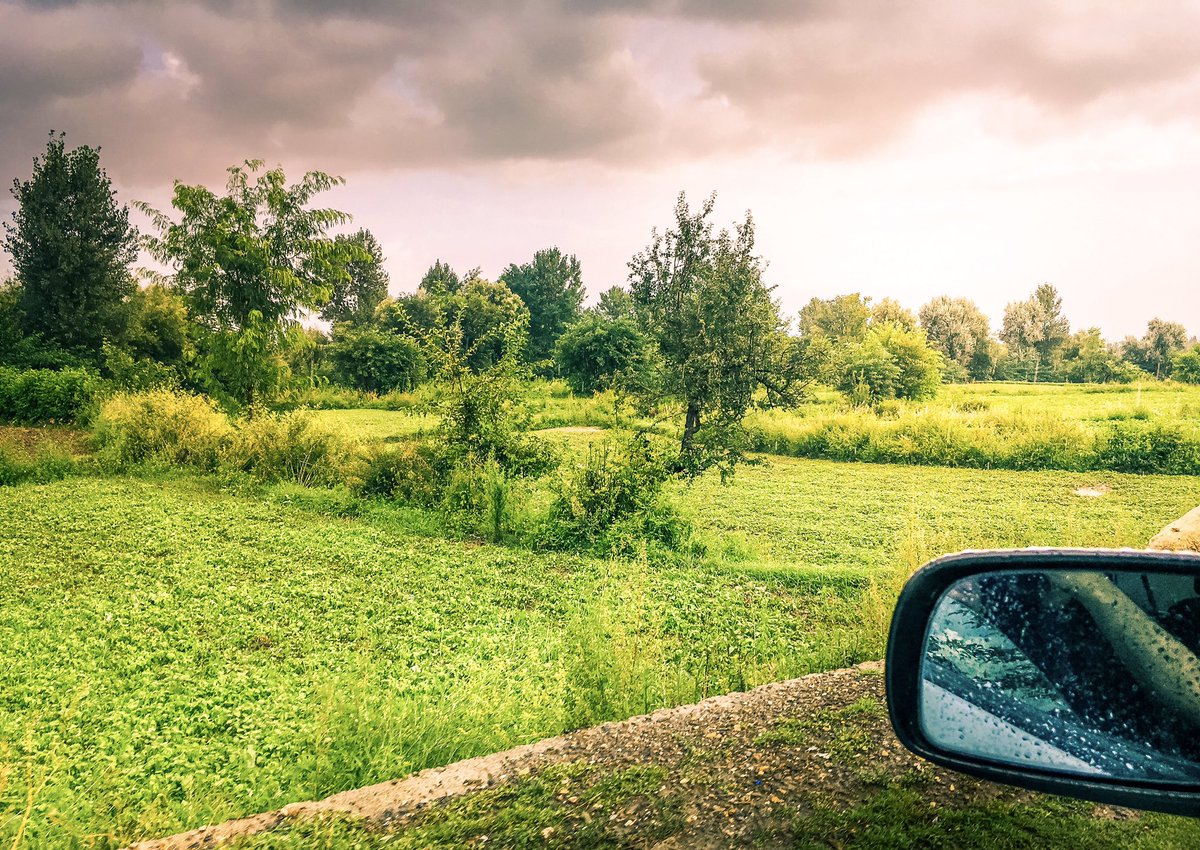 ismaailofficial's tweet photo. Wherever you go, no matter what the weather, always bring your own sunshine.

#theismaaiil #Parachinar #Pakistan #Nature #love #driving #greenfields #forest #photography #traveling #tourism https://t.co/vJy2Ko0Nlz