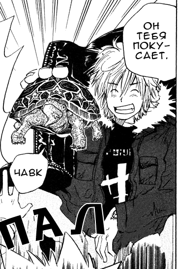 i just think dino from katekyo hitman reborn, 