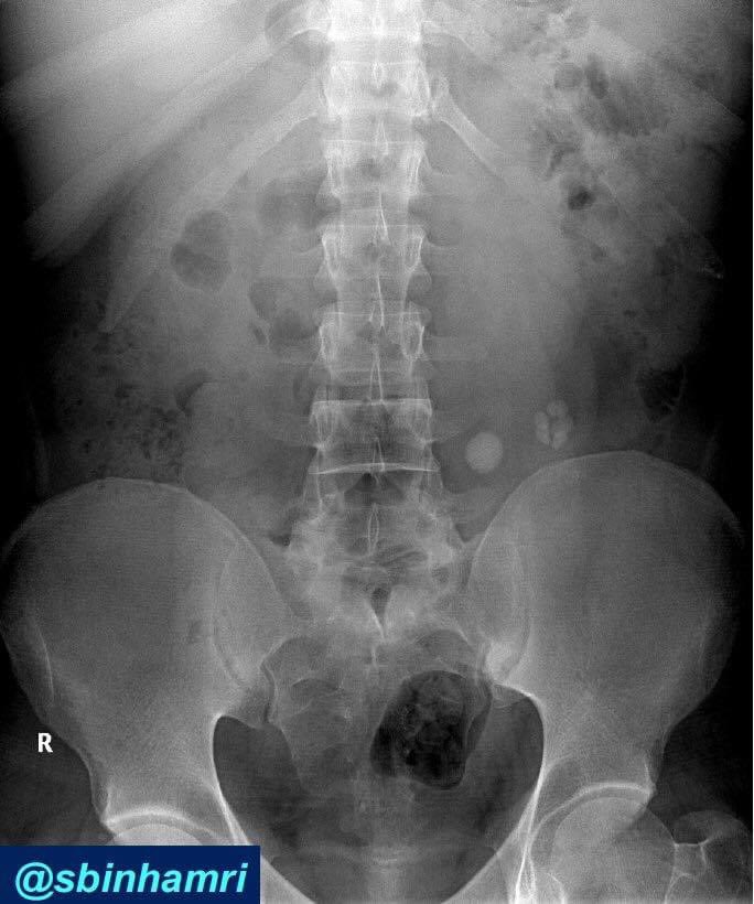 Saeed Bin Hamri tweet media