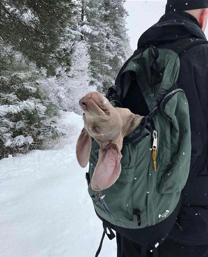 Просто mood December 😂🥱