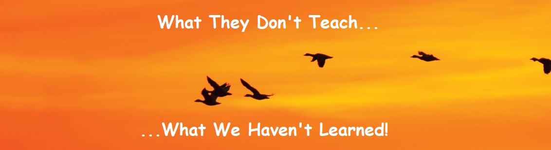 PeaceExpert's tweet image. 