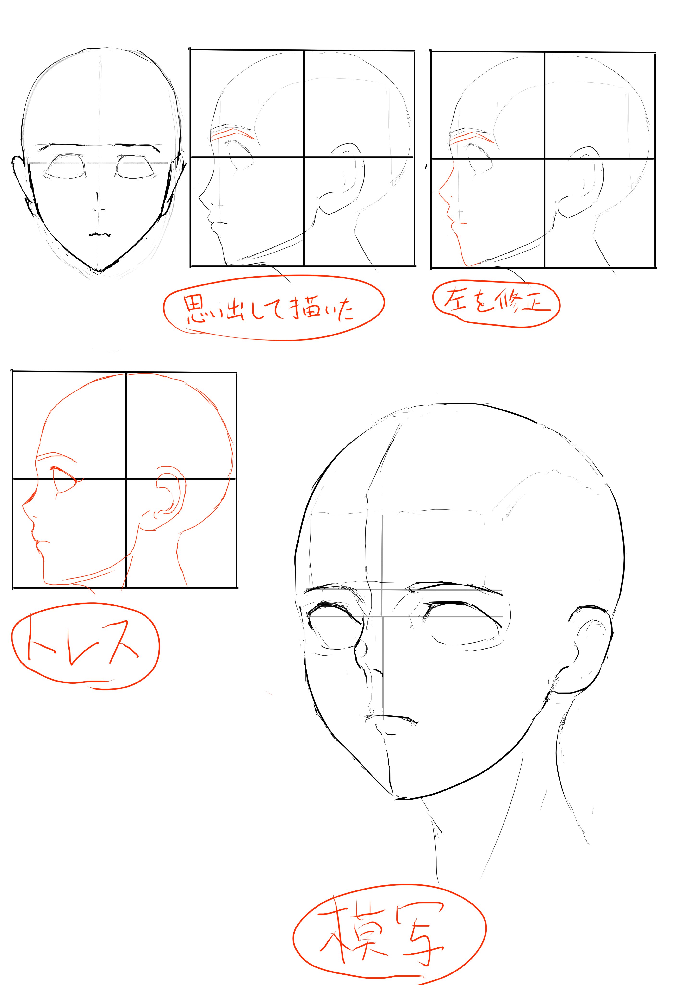 鵜足幸茉 顔のアングル練習 トレス 模写のモデルは漫画素材工房様 昨日は食わず嫌いな横顔に挑戦し 今日も試しに描いてみたら思い出しながら だいたい 描けた うれしい 十字マスありでなら だけど そして水平斜めのアングル模写に数時間を要し