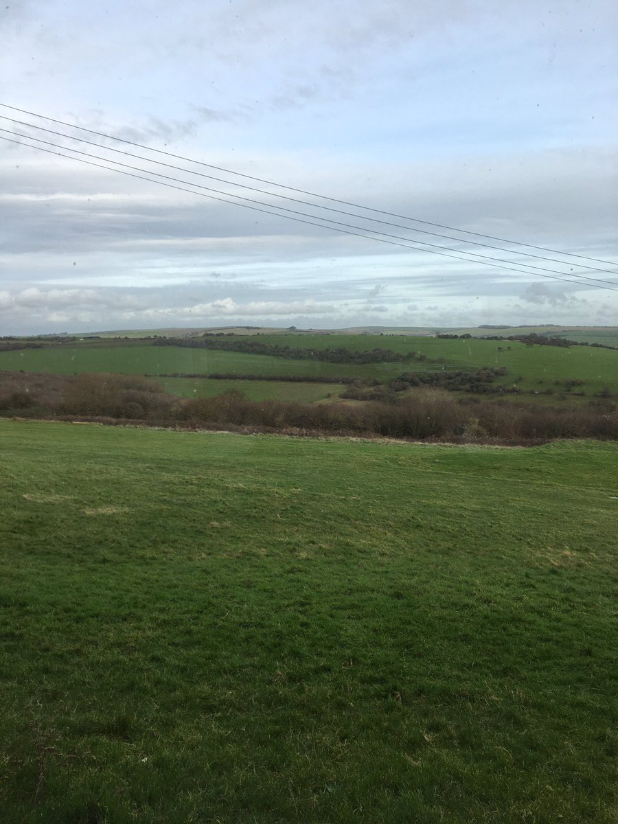 BrightonFoodFactory tweet media