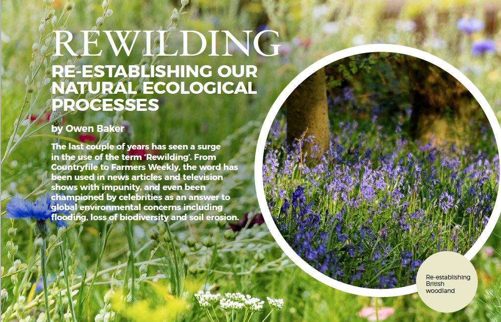 BALI_Landscape's tweet photo. Just in time for the festive break, our Landscape News Winter 2020 edition is now available. Subscribers should have received their printed copies this week, and the digital edition is now available to view/download https://t.co/4x5BmHztch. https://t.co/5WWLE7PPui