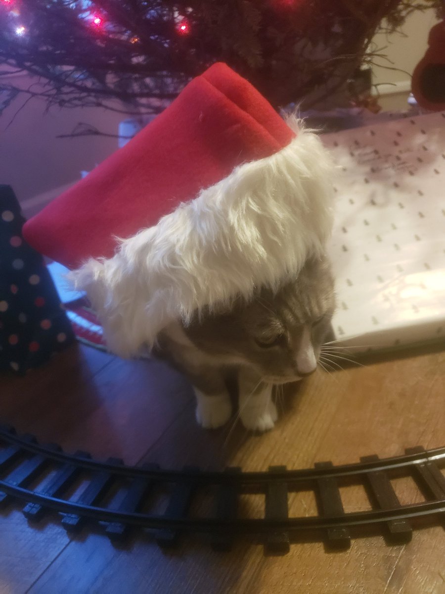 RMES.SCA tweet media