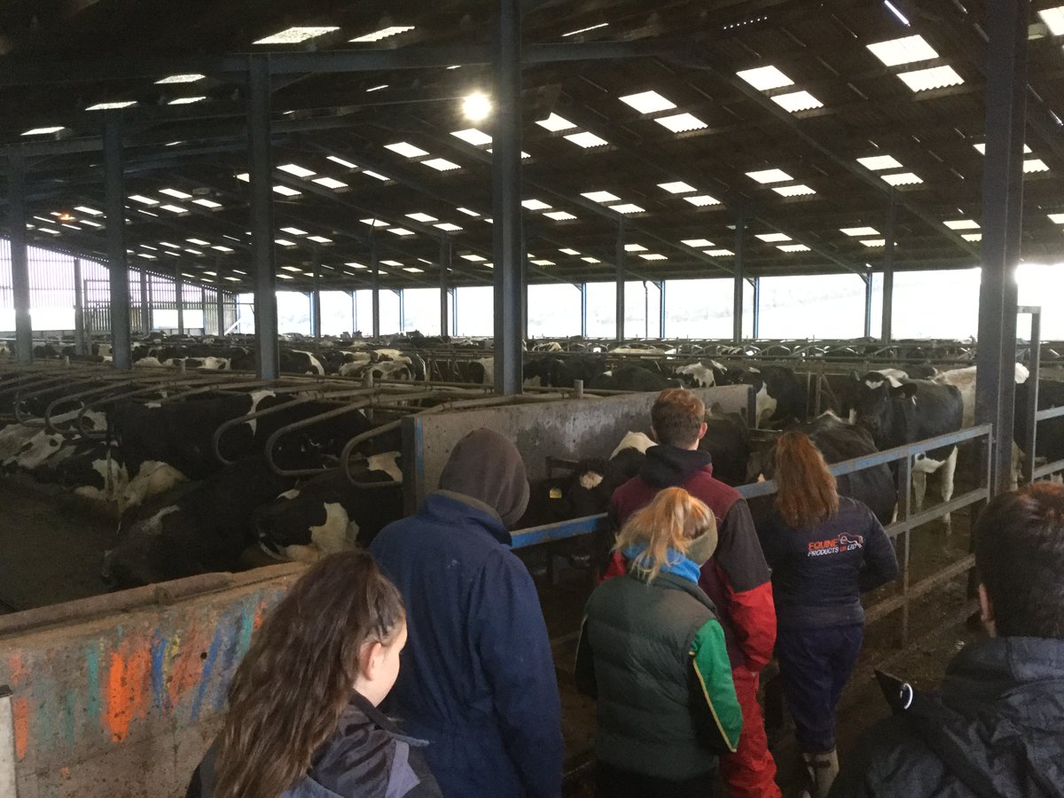 BrackAg's tweet photo. Last week we had a fabulous visit to a local dairy farm, our first year Agrics learnt so much #dairyfarming #FE #Agriculture https://t.co/ocJQjJ3W2O