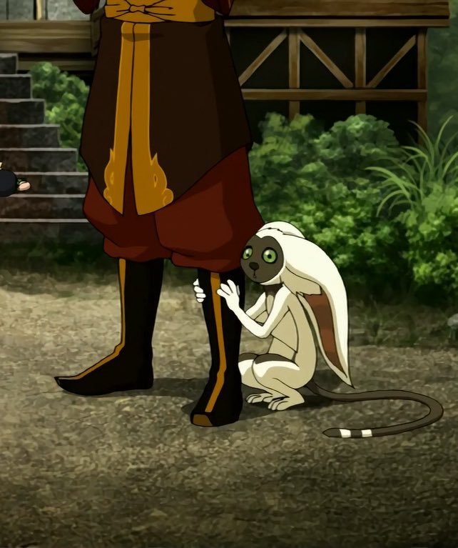 Dona_Kyoshi's tweet photo. Les vengo a recordar que Appa y Momo fueron los únicos del equipo Avatar que confiaron en Zuko desde el comienzo 👀 https://t.co/bAdW3V7zRu