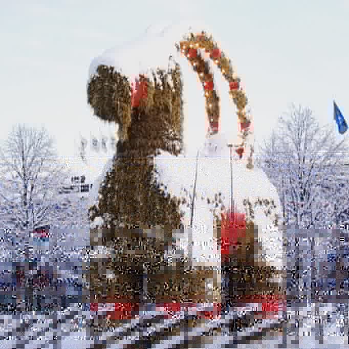 For most Swedes Yule Goat ornaments are traditionally made of straw with red ribbons tied around their neck and horns. Goat big or go home, according to in the town of Gävle, which every year since the 1960s has erected a massive Yule Goat in its main square.