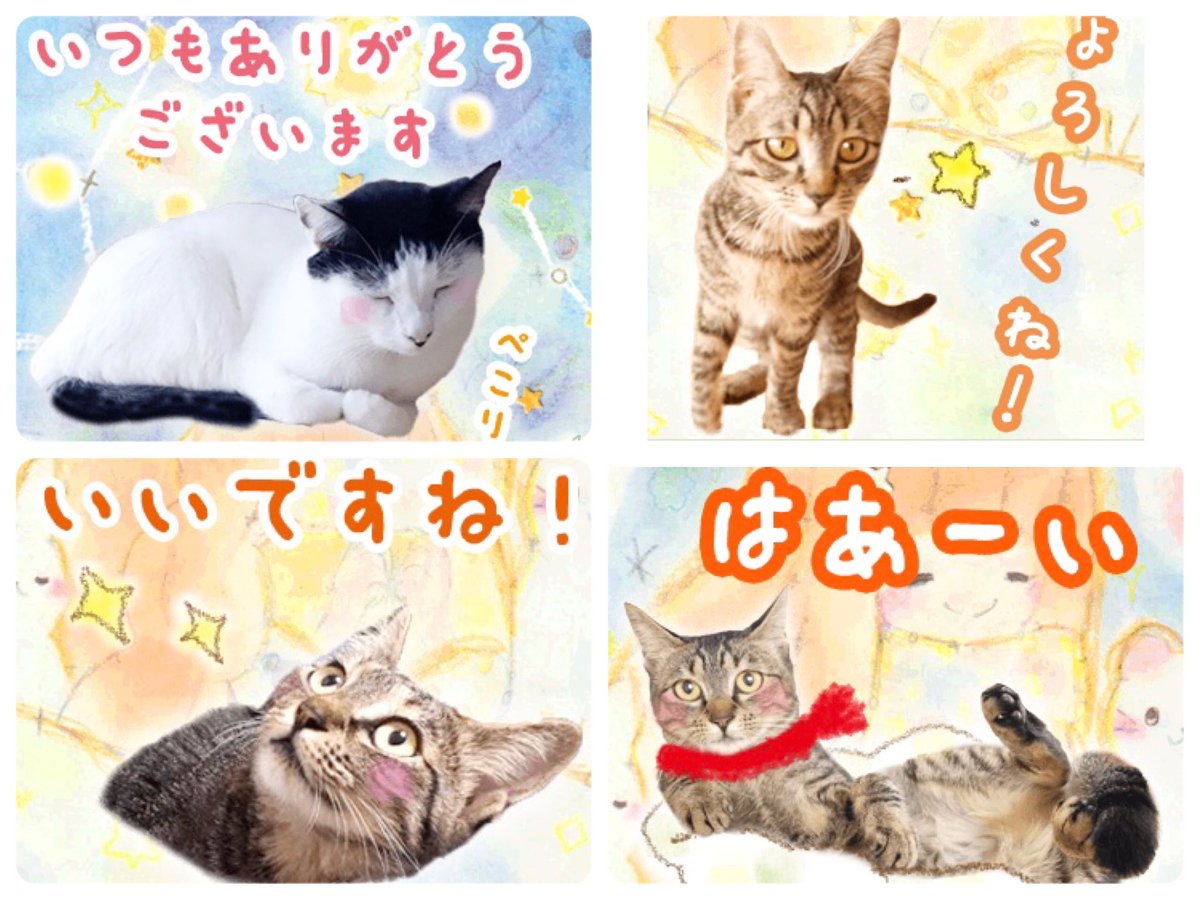 みーちゃんわーるど 久しぶりのnew Lineスタンプ 冬の にゃんこ ぬくぬくスタンプ登場 冬にぴったりなマフラーやニット帽の可愛い2匹の猫ちゃんが盛りだくさん ぜひご覧くださいね 全40種 T Co Zsbswe3o8y イラスト Illust 猫 Line