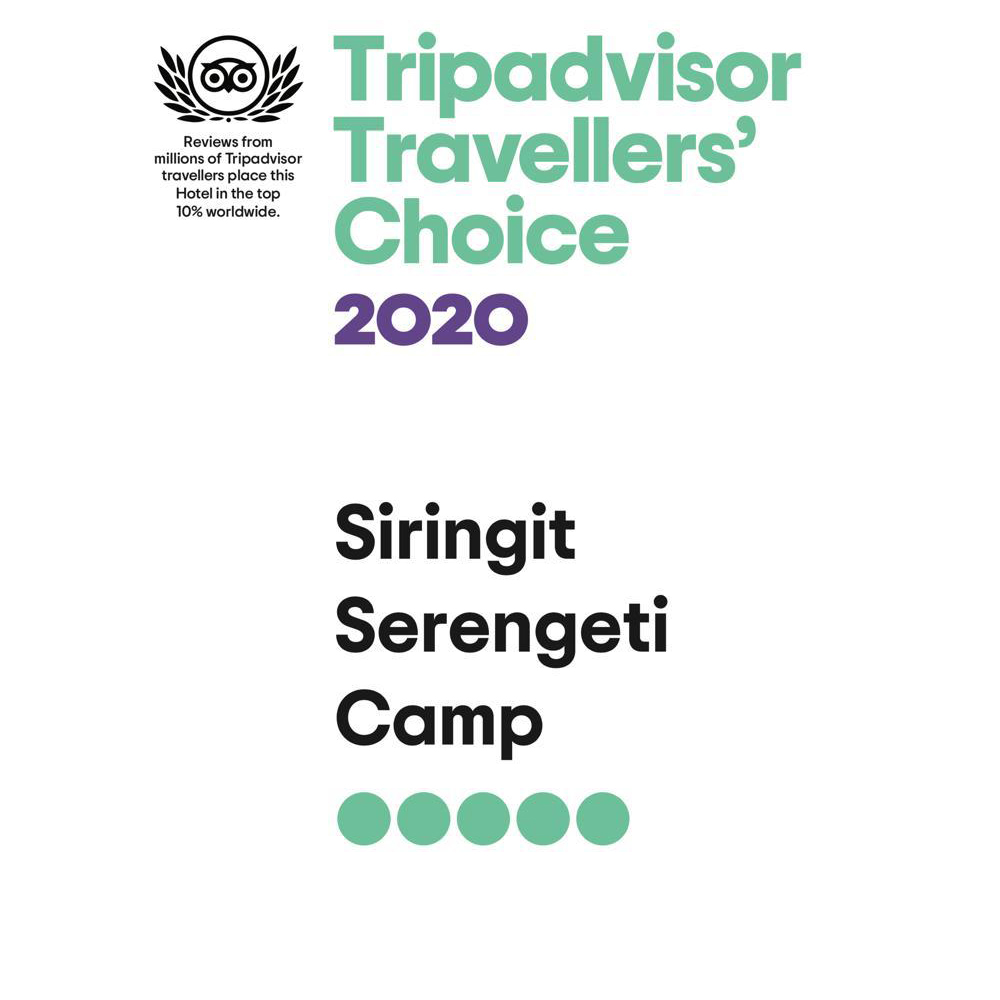 SiringitCamp's tweet photo. Siringit Camp proudly boasts the Tripadvisors Travellers' Choice 2020 badge. #mantiscollection #discoveredbymantis #siringitcamp #siringitserengeticamp #luxurygetaway #serengetinationalpark #tripadvisortravellerschoice2020 https://t.co/U3SfcvTrCu
