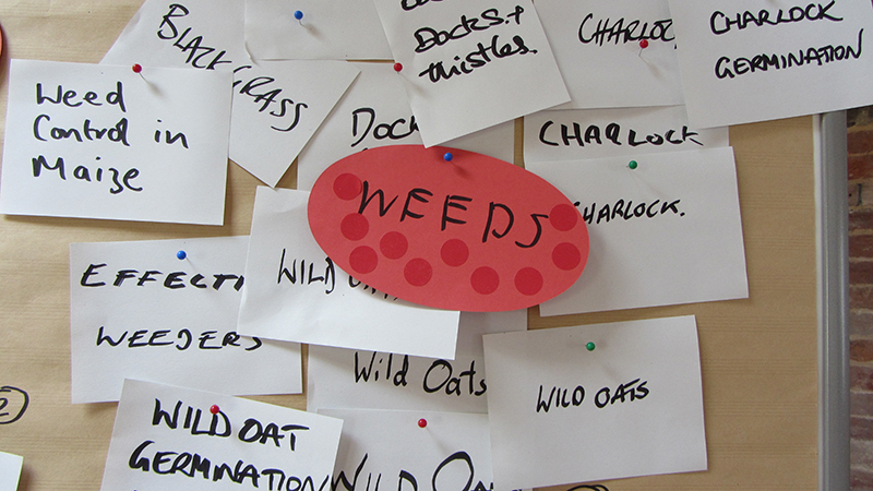 Oxfordshire organic farmer Philip Day, is conducting a survey of UK organic arable farmers, as part of his MSc in #OrganicFarming at <a href="/SRUC/">SRUC</a>  Aberdeen, to assess how they manage weeds in their crops.  Please spare a few minutes to take part organicresearchcentre.com/news-events/ne…