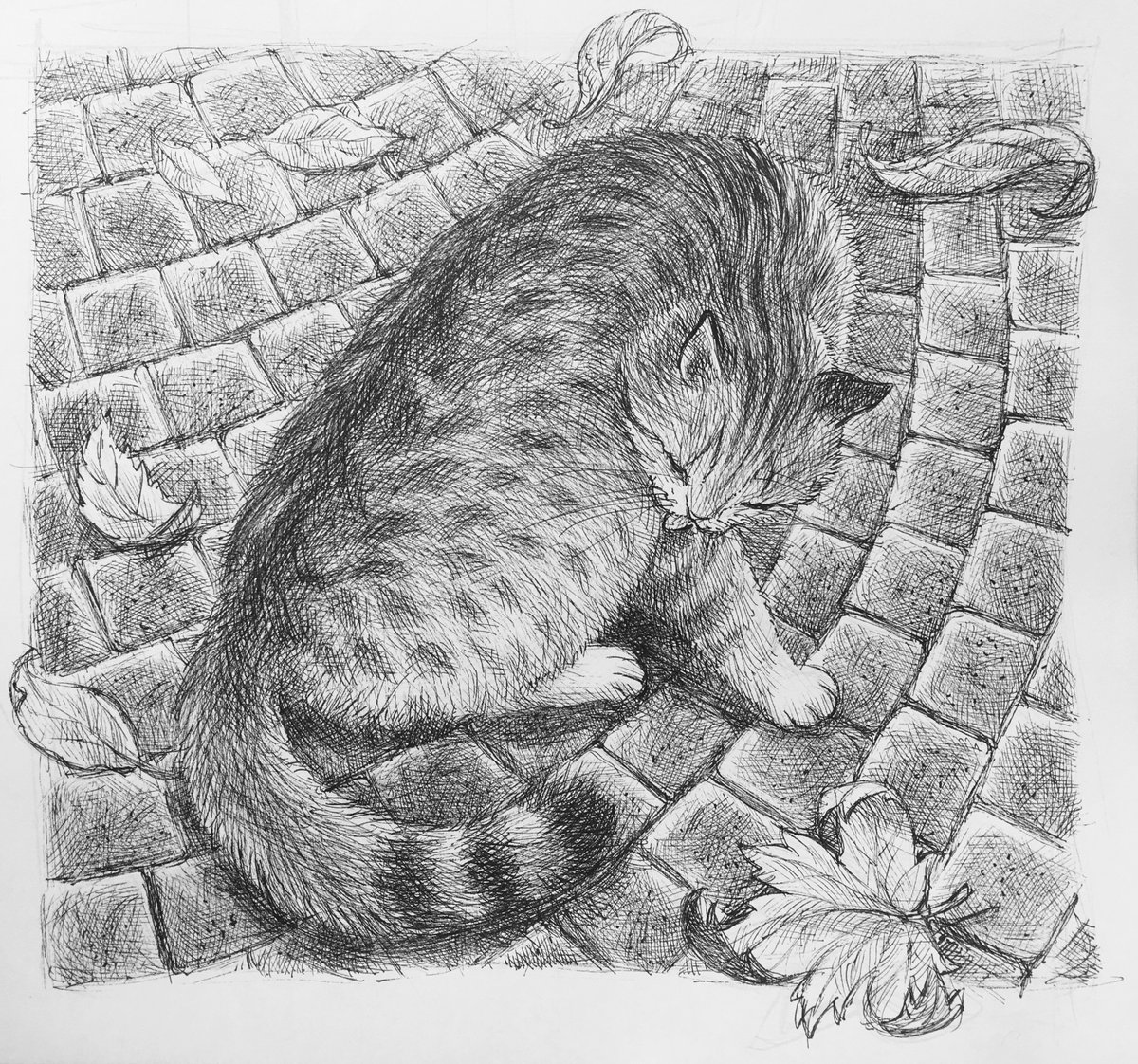 Gli @hagiasophiacat @hagiasophia @istanbul