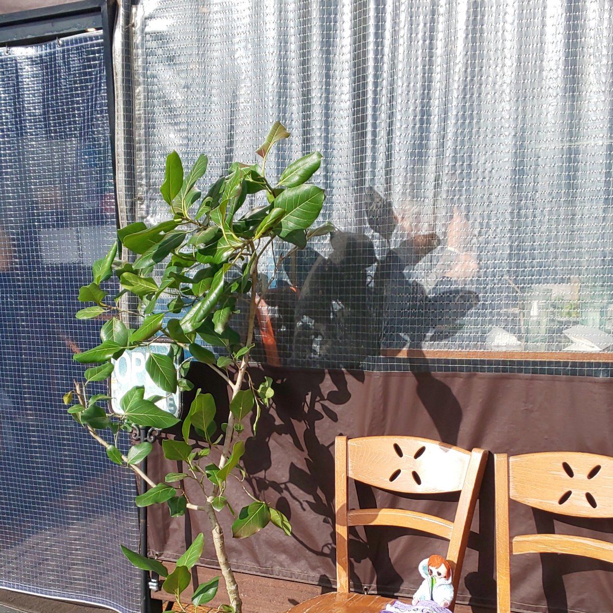 石神井公園ランチ