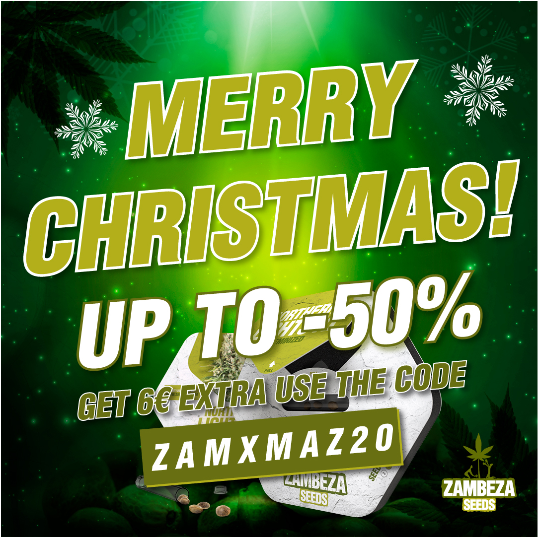 It’s not too late to get up to 50% off!

 But, if you still needed convincing, have a €6 voucher on us—redeemable on all current discounts. This is your last chance in 2020 to grab these incredible offers, so be quick! 

Get 6€ extra: ZAMXMAZ20

Visit➡zambeza.com