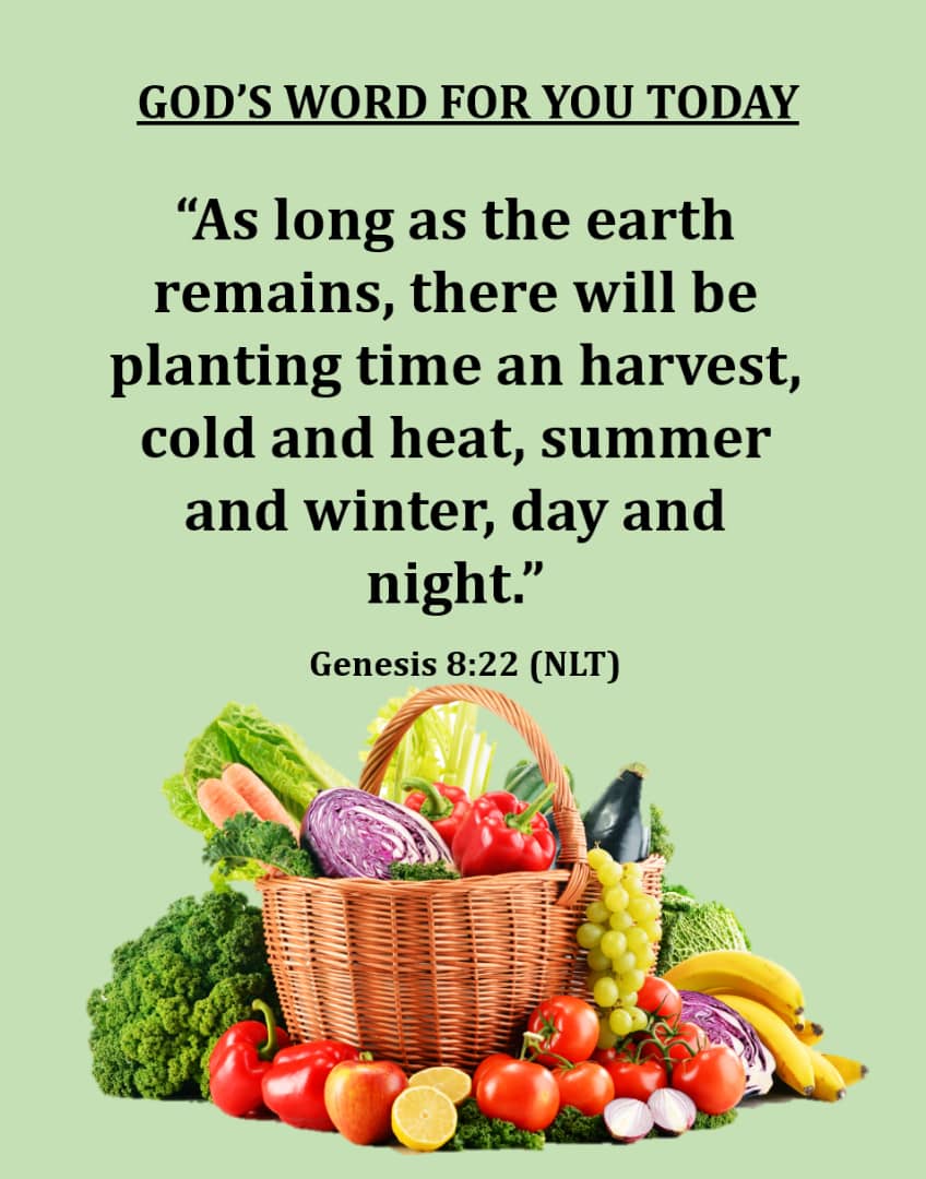 Hislink's tweet photo. May your harvest be certain and secure https://t.co/5nmSTvhwkn