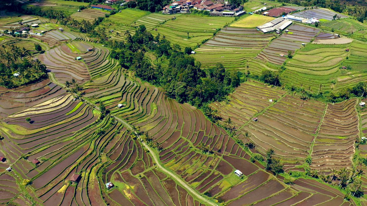 世界遺産 A Twitteren 今年は 人が作った景観もいろいろ取り上げました 写真はバリ島の棚田 1000年かけて 水路を引き山を開墾して作った絶景です 12月日 日 午後6時放送 ベストショット で紹介します 世界遺産 バリ島 棚田 絶景 ベストショット