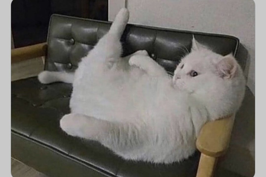 Hayatım ellerimden kayıyodur... 
O sırada me;