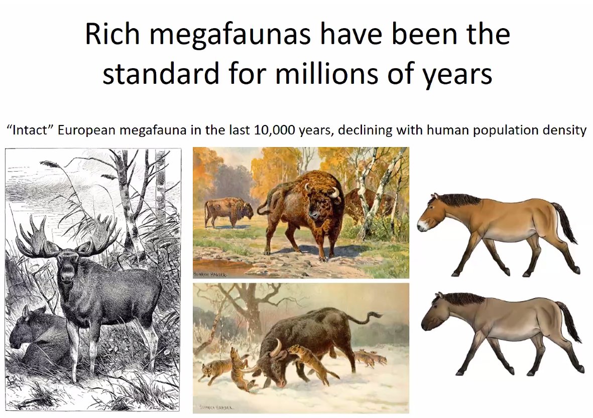 Rich megafauna communities has been the norm for millions of years, and current fauna and flora have evolved in such megafauna-rich ecosystems. Before humans, these species would have evolved in areas that were 100% given to nature
