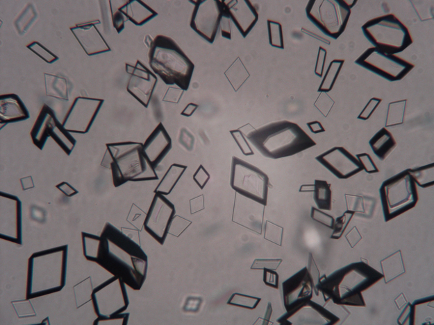MicroporeTech's tweet photo. Different crystalline shapes of the same API prepared by Micropore to suit customer needs.
#apidevelopment #crystalline #pharmaceutical #pharmadevelopment #membraneemulsification https://t.co/kdmHvw8Fo4