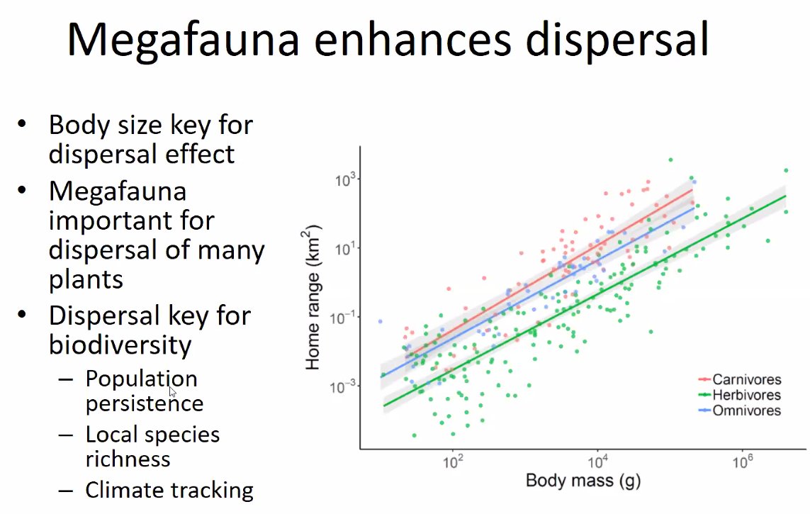 Recent work shows that megafauna enhance plant and nutrient dispersal, and could maintaining these processes by tracking changing climates as a result of their large home ranges and daily movement. Potential rewilding could increase the movement capacity across the world