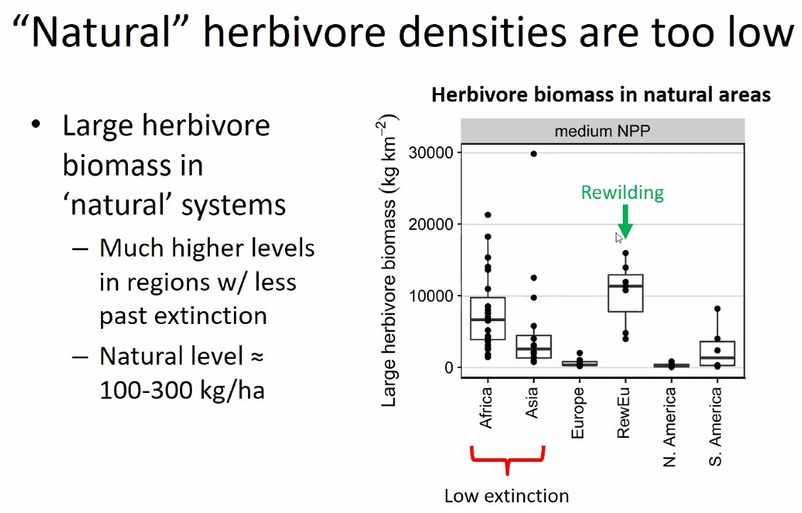 One question that comes up a lot is 'what is the natural density of herbivores?'. Well, across the world, these 'natural' densities are currently very low, and it is much higher in areas with previously fewer extinctions