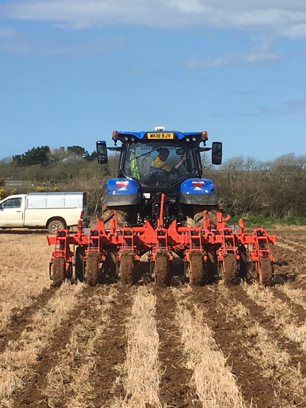 Our Crop Walkers regularly inspect the growing crops- Riviera has implemented a minimal cultivation and strip tillage regime that has allowed greater flexibility. It improves soil structure, increases soil moisture retention and increases worm activity. #regenerativeagriculture