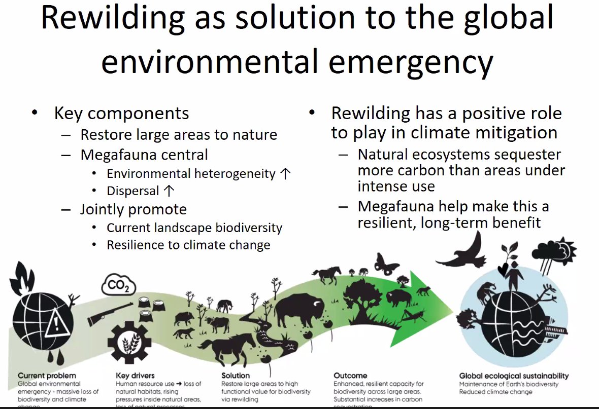 Rewilding is a potential solution to the global environmental emergency through restoring larger areas to nature and facilitating megafauna reintroductions which could have a positive role on the climate and biodiversity crises