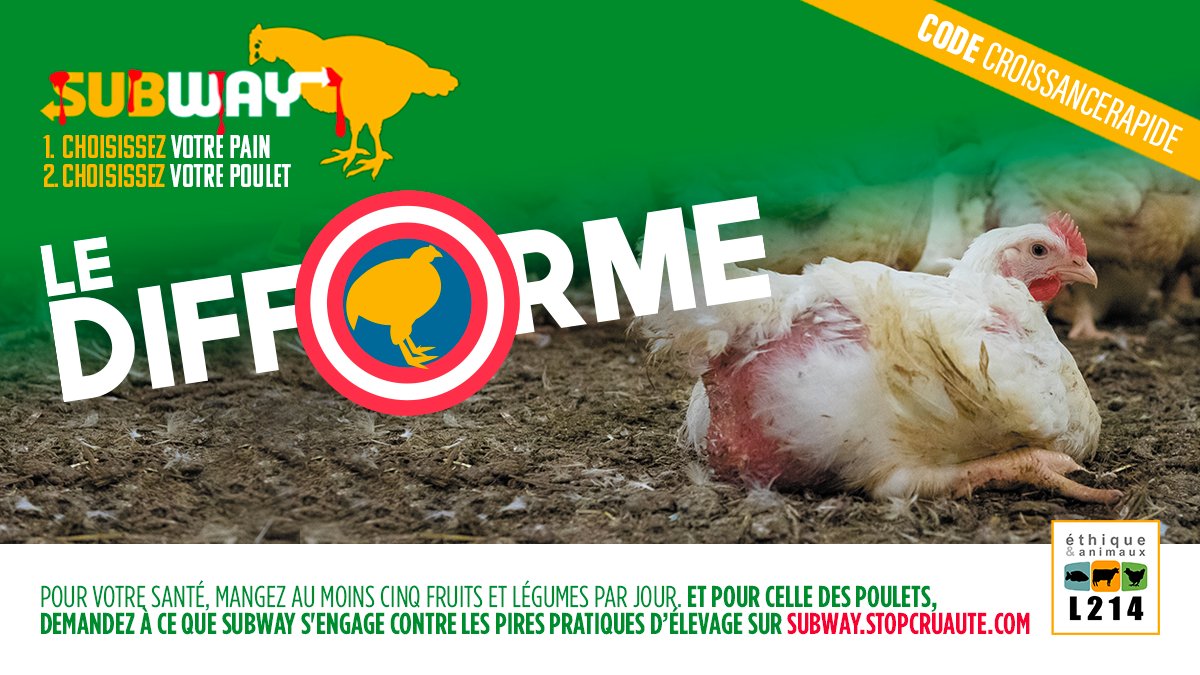 Areculons's tweet photo. @SubwayFrance J'ai appris que Subway utilisait de la viande de poulets élevés et abattus dans des conditions atroces. https://t.co/JndJQLQGlz