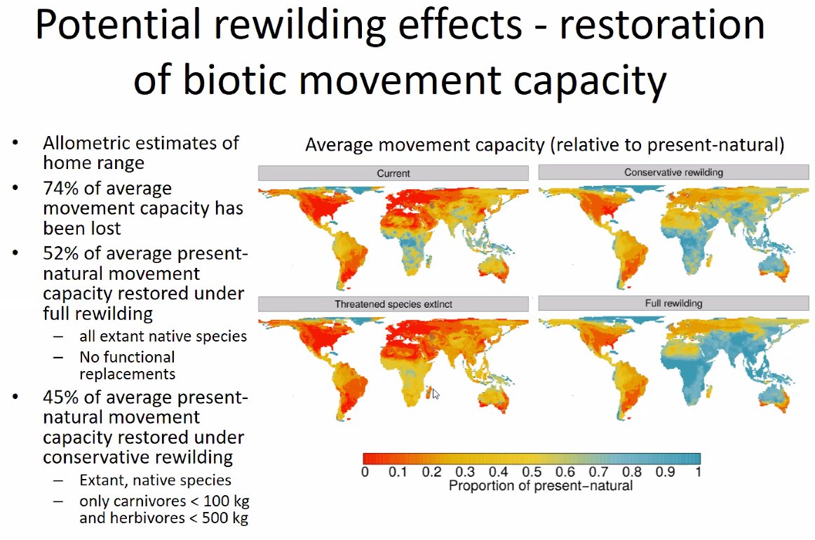 Recent work shows that megafauna enhance plant and nutrient dispersal, and could maintaining these processes by tracking changing climates as a result of their large home ranges and daily movement. Potential rewilding could increase the movement capacity across the world