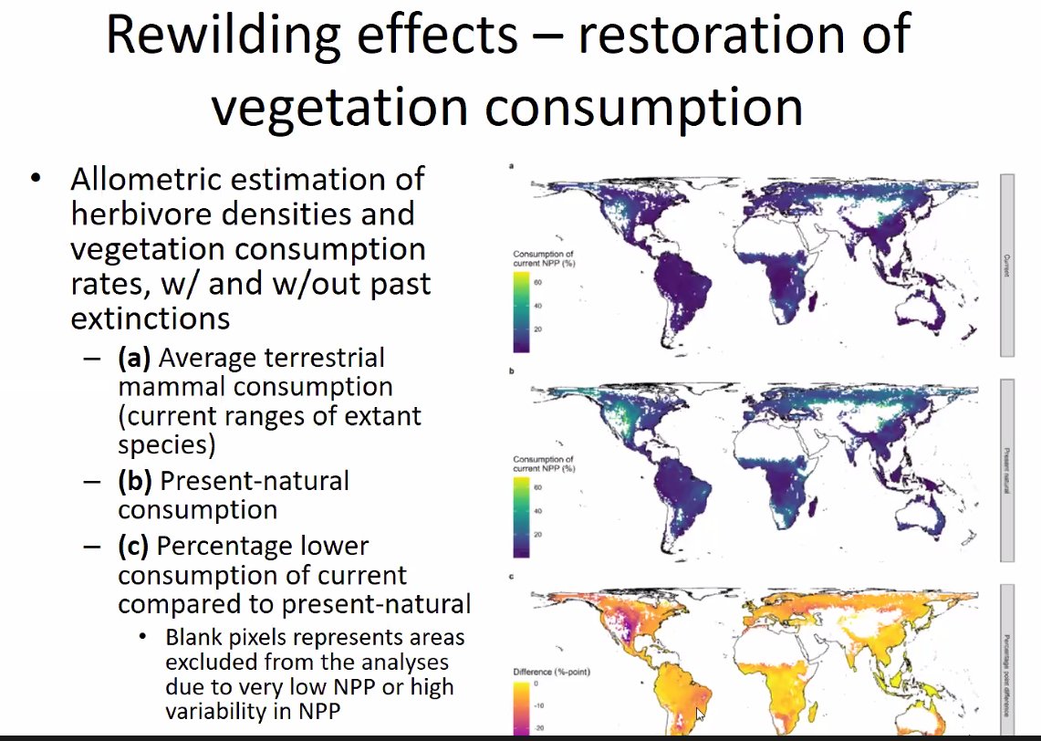 Overall, the amount of vegetation consumption currently, compared to the present-natural (scenario today without humans across the world) has been greatly reduced, and the restoration of vegetation could be achieved to an extent through megafauna reintroductions