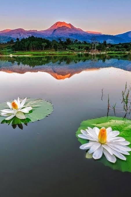 apostlecatie's tweet image. The ordered knowledge of the gospel of truth is the guard upon the mind and the key to enter the door of His throne. The key is Christ, bestowed upon His Steward to make Himself known to those who believe. #God #Bible #truth #endtimes #hope #faith #life #S8w #COVID19 #Holy #S8w