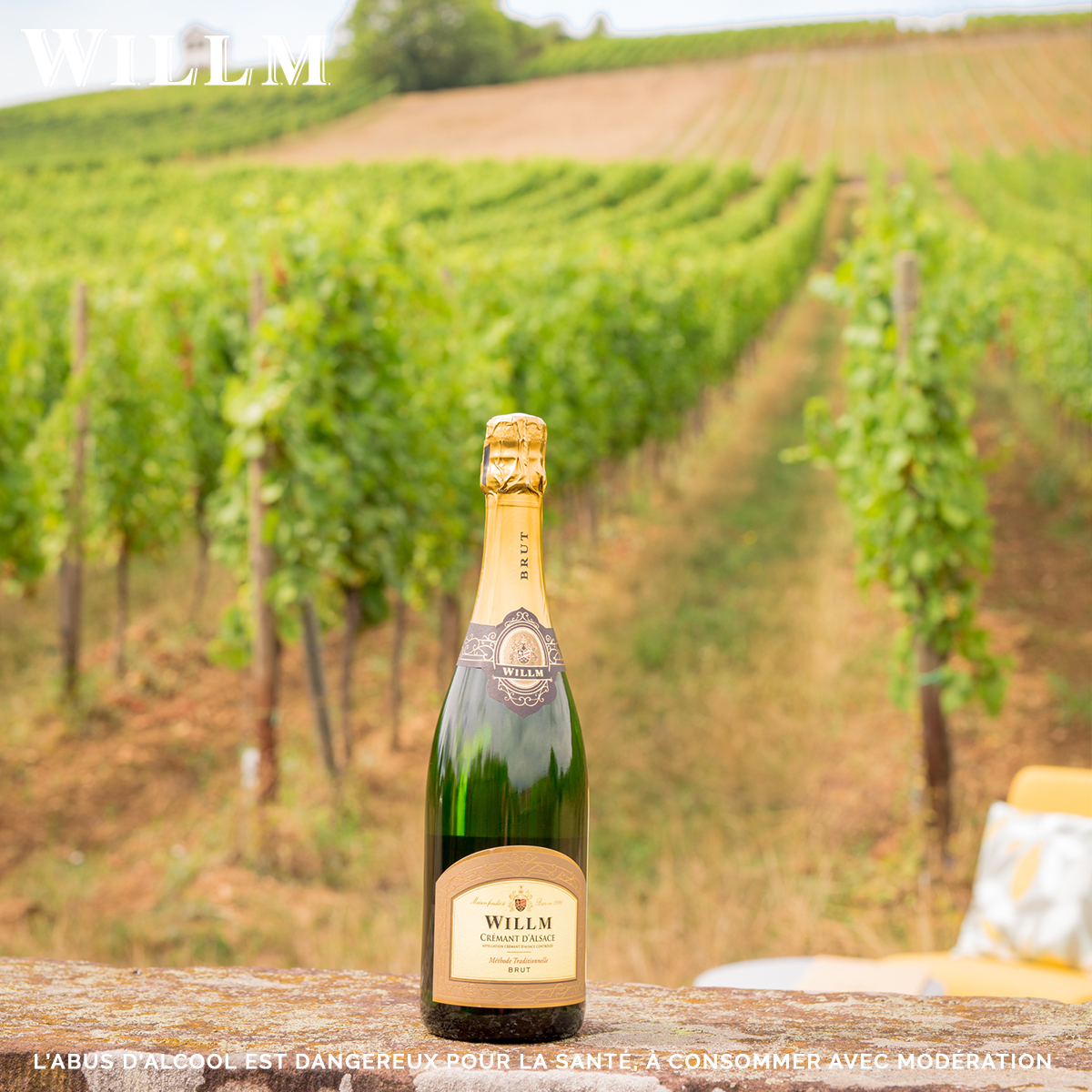 Let’s start 2021 with bubbles! Rediscover our classic, the Crémant d'Alsace Brut! Fresh, crisp and festive, this Crémant d'Alsace produced according the traditional method will surprise you with its expressive nose and vibrant palate. #drinkalsace #alsacerocks #alsacewillm #2021
