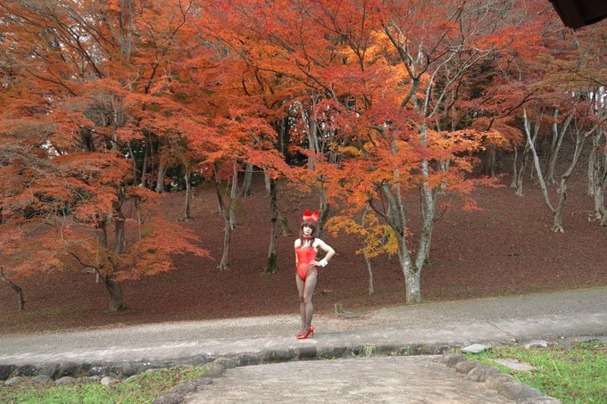 紅葉 高画質 のtwitterイラスト検索結果 古い順