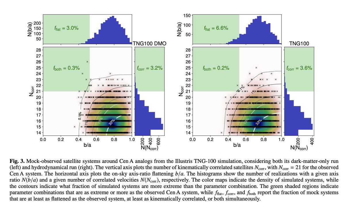 We now test our past findings after almost doubling the number of satellites with velocity information. Guess what: 1) the kinematic signal is still present (21/28 sats follow trend)!2) Its tension with cosmological simulations (we now use Illustris TNG) is at the 0.2% level!