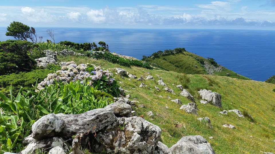 AzoresEUoffice's tweet photo. 🇪🇺 @Europarl_EN approved #CAP transitional rules ensuring that support for European farmers starts at 1 January. @EuropaRUP #POSEI funding at current levels will be maintained for the next two years. #EPlenary #FutureofCAP #Azores

👉 https://t.co/yeOi3r3Ec6 https://t.co/wPx2aBxbEv