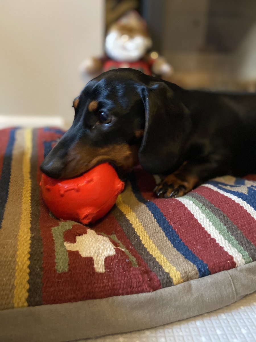 Steve and Stan-Stan The Sausages tweet media