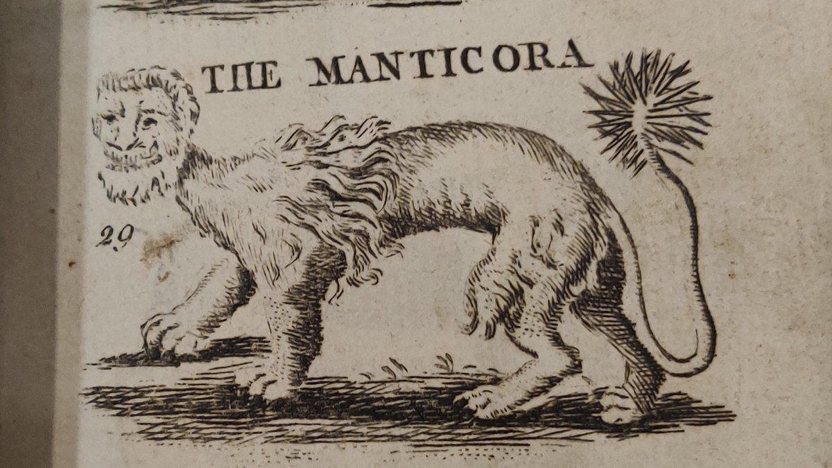 the Indian manticore, which is very unruly, and he advises that in order to tame it you must beat it firmly on the buttocks