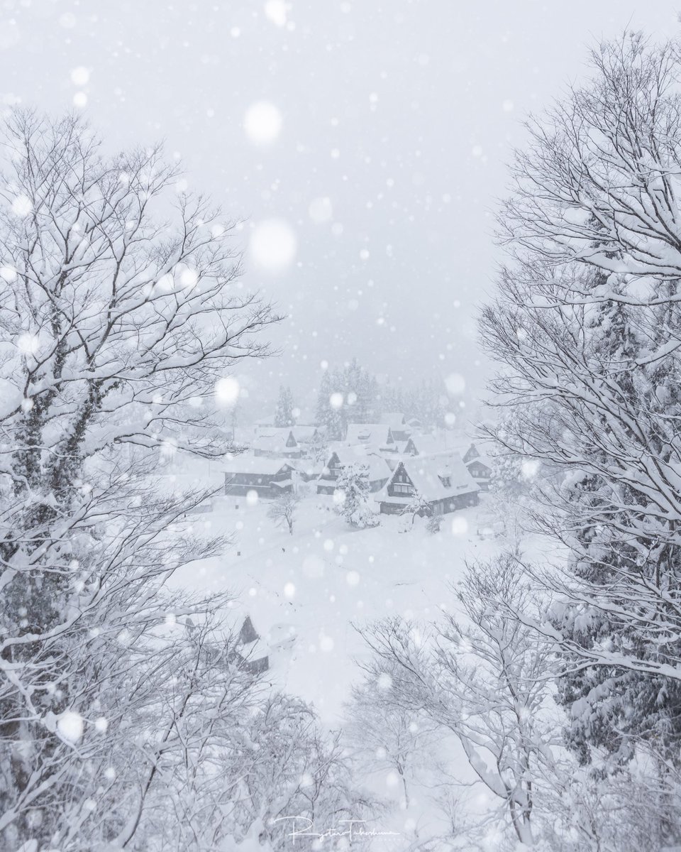 涼太 美しいです