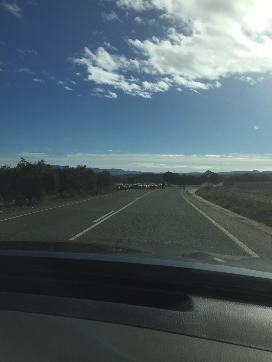 BrigittePowell1's tweet photo. Slight delay heading out today 🙂🇪🇸🐐 https://t.co/dQEb192Xpq
