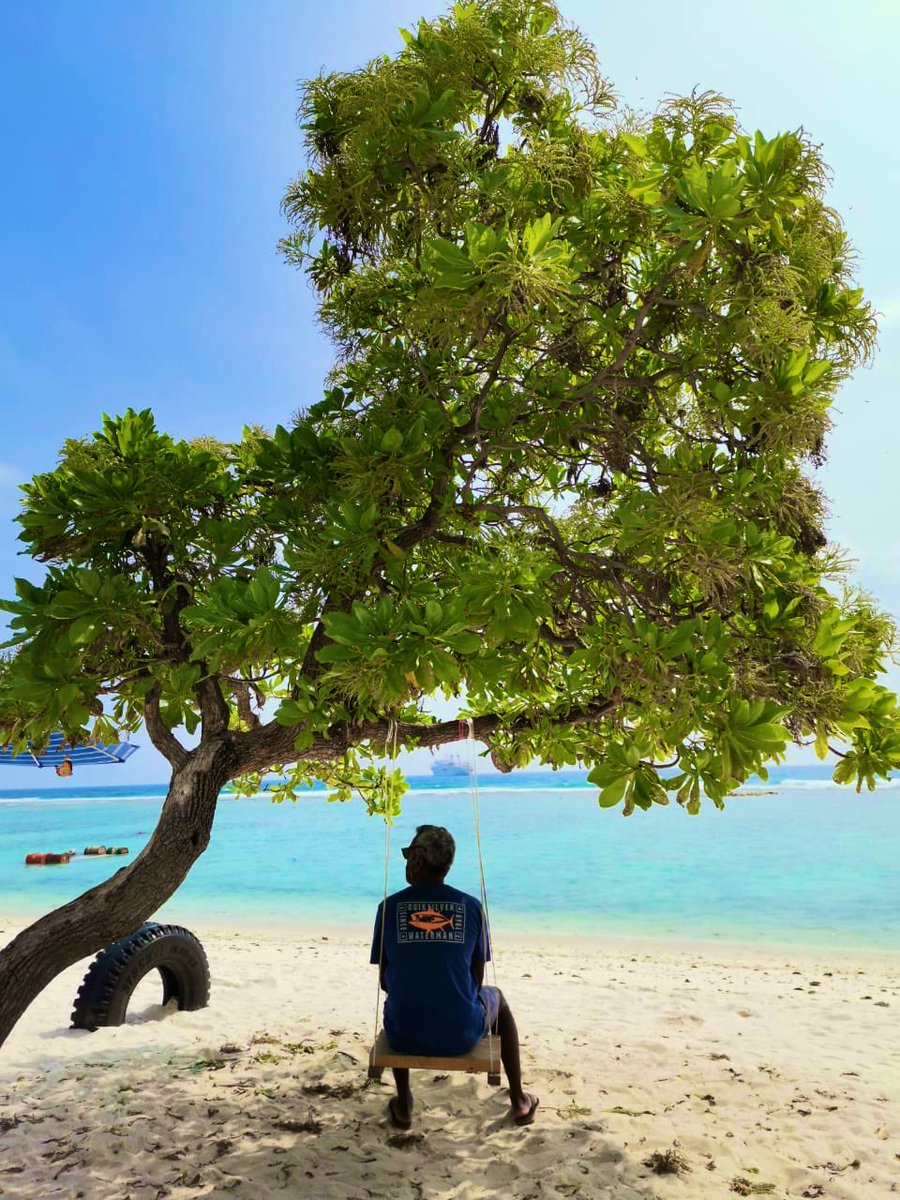 ވަޒަނެ  މީ  ލޯބި. <a href="/ShafrazNaeem/">🇲🇻  Shaff  🇨🇭</a> <a href="/SusanIbrahim/">susan ibrahim</a> <a href="/Dhonkolhu/">Ahu Madhu</a> <a href="/waddey/">@waddey 🪅</a>