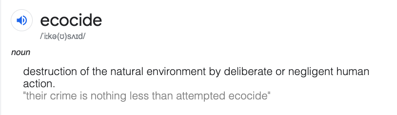 We have the right to life. So should our Earth.