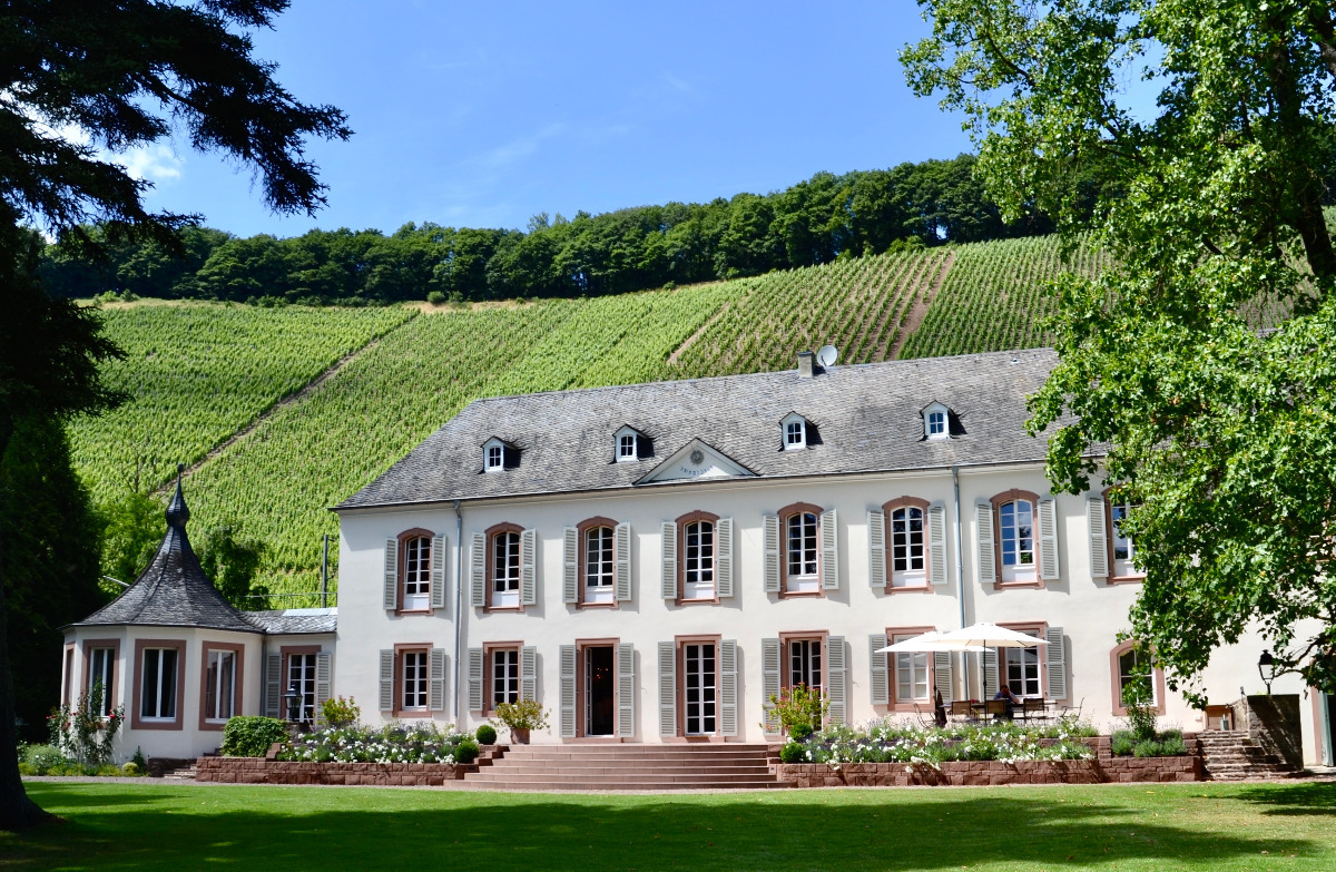 Wir haben uns mit dem Weingut von Günther Jauch, dem Weingut von Othegraven an der Saar zusammengetan, um anlässlich unseres 90. Geburtstags exklusive Weine für unsere Gäste zu kreieren. Mehr Informationen: deutschehospitality.com/presse/pressea…  #steigenberger #90jahre #jubiläum #dhfamily