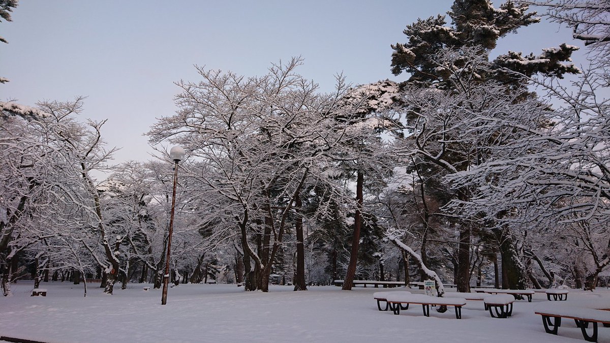 舘野公園 舘野公園