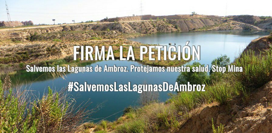 🌱CaniBlas Ambiental tweet media