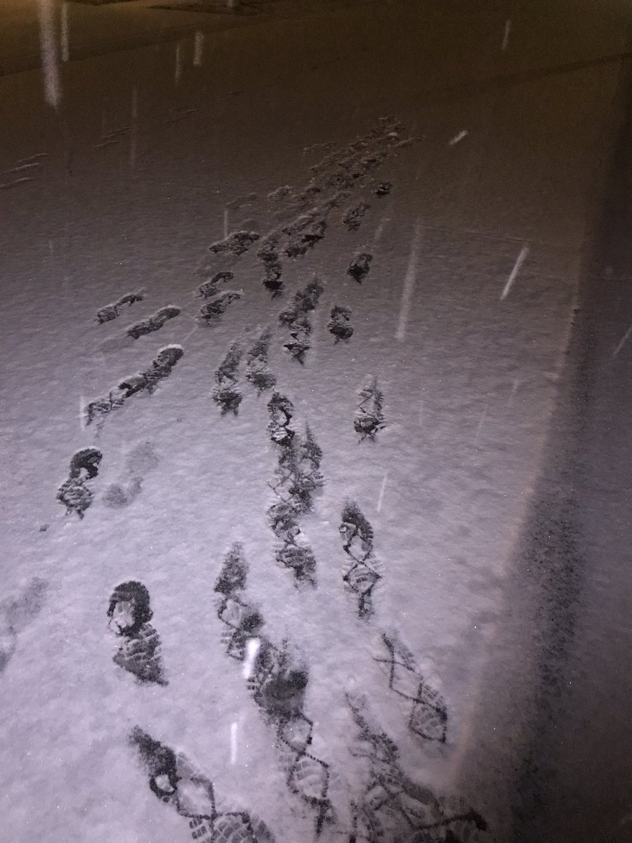 RobRueff's tweet photo. 13 hours at work yesterday due back in at 6:45a - heck ya getting that ⛄️ ❄️ run in at 4 am! BOOM! #runchat #aimhigh #trainhard #indyvirtualchallenge #relentlesslypursue #findsomerunhappy #dowork #raisethebar #grit #commit #driven #runningisnotcancelled https://t.co/tPt76oQqBp