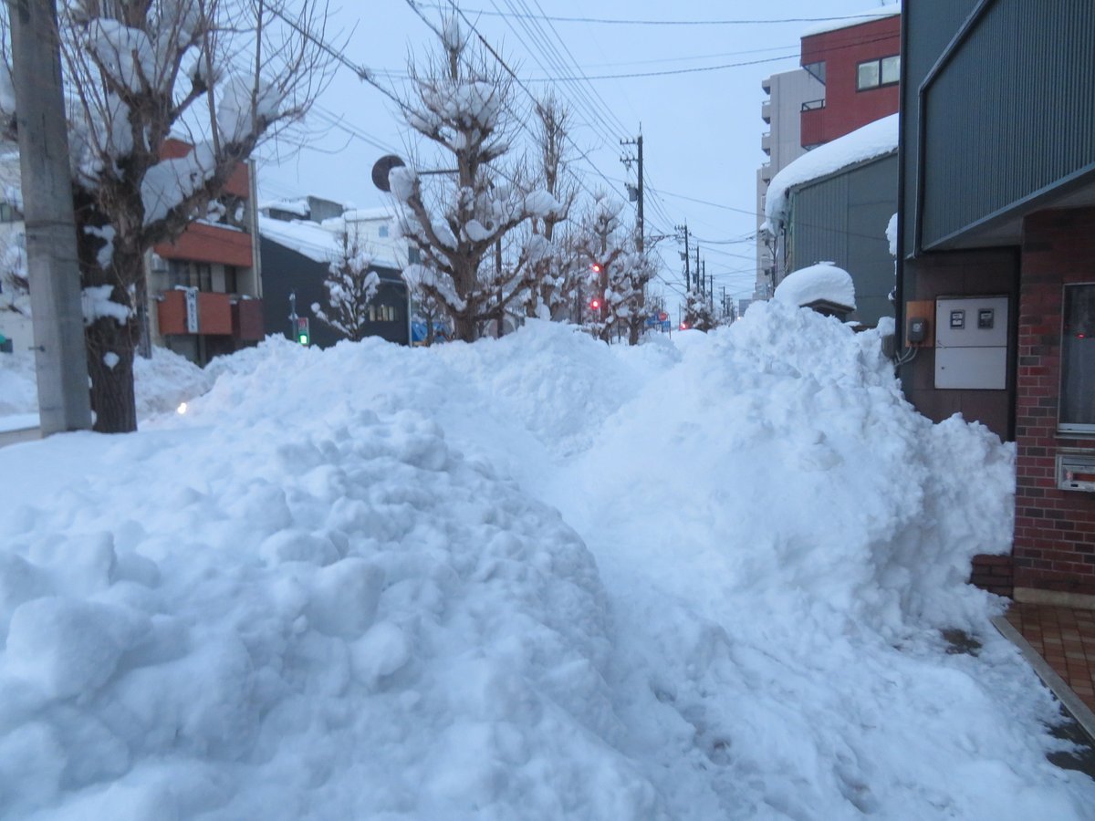 北海道民からヒヤリングし作成した 雪に対する雪国民の感想 雪かき先輩 かわいそう 甘えんな に対し 各地域から積雪状況が報告される Togetter 北海道民からヒヤリングし作成した 雪に対する雪国民の感想 雪かき先輩 かわいそう 甘えんな に対し 各地域から積雪状況が報告される Togetter