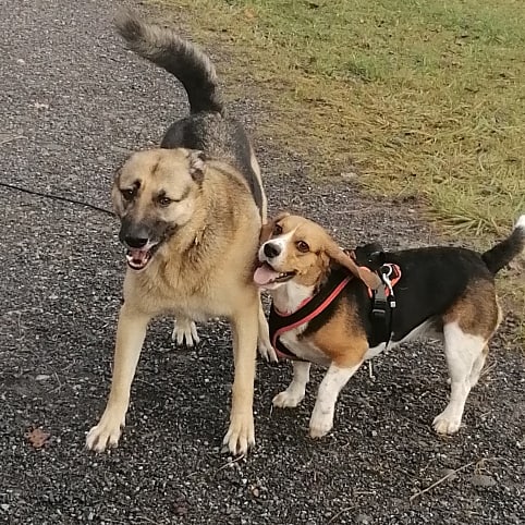 chiiscake's tweet image. So much love